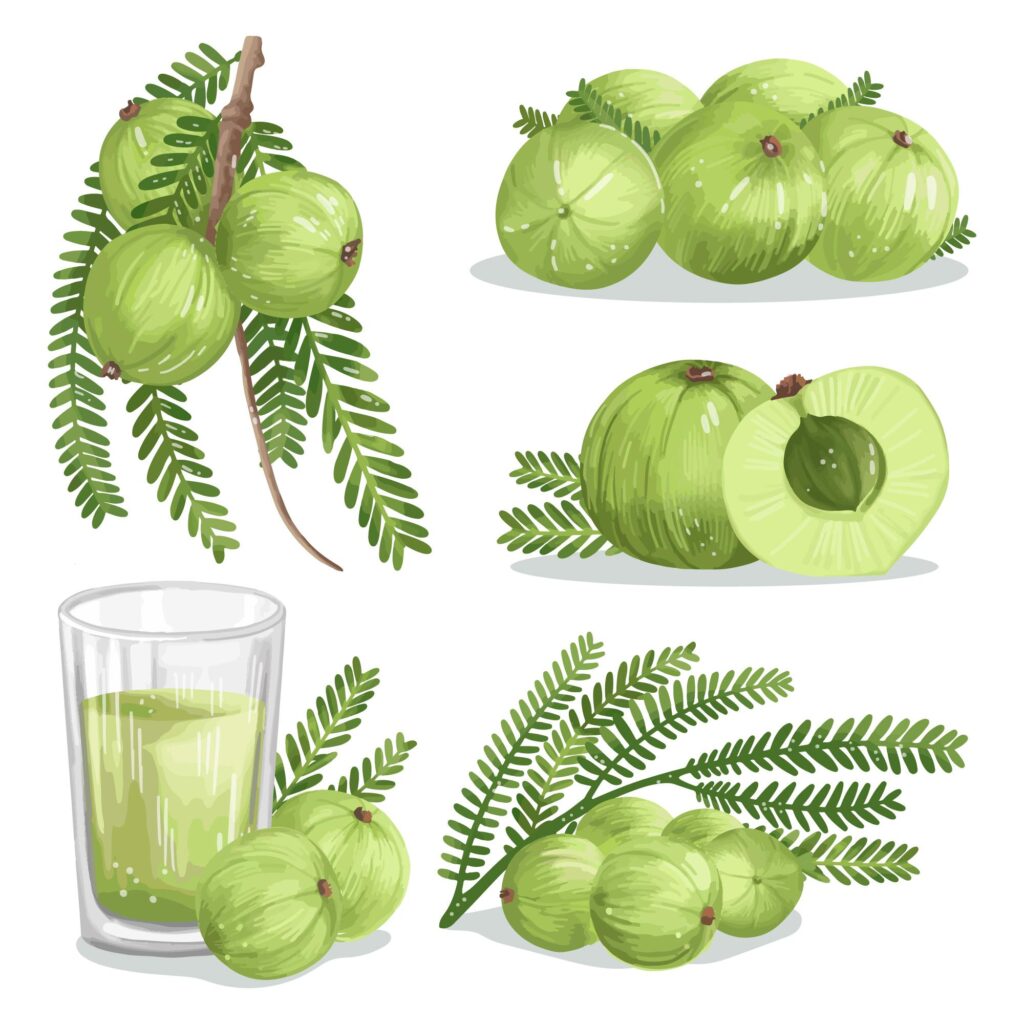 amla benefits