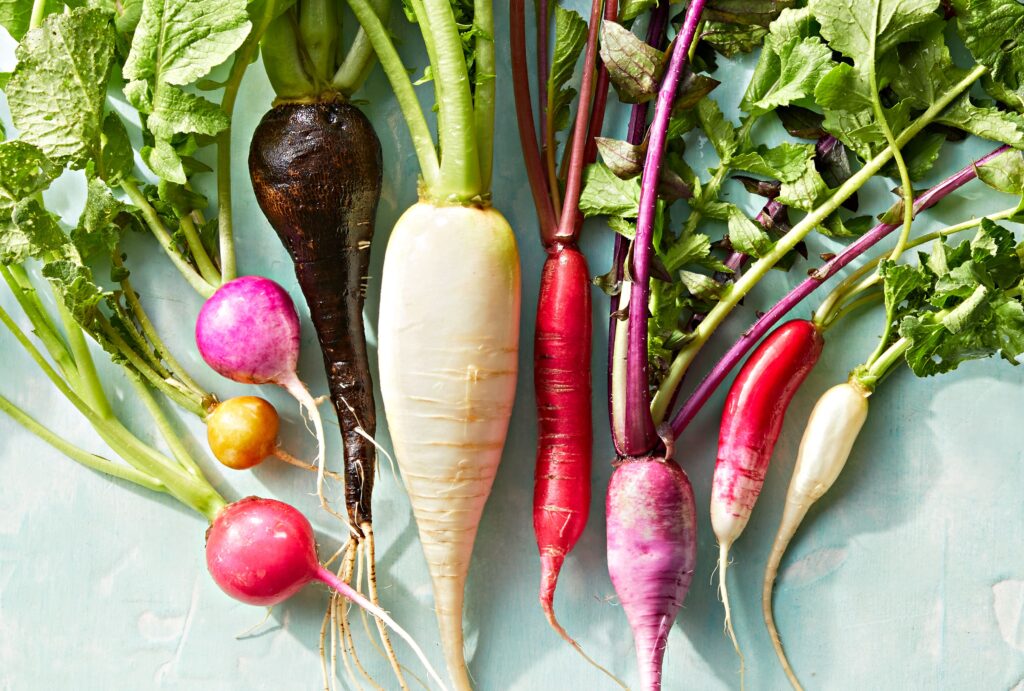 RADISH BENEFITS